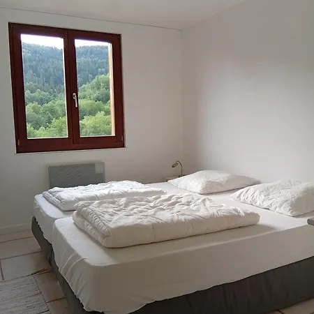 L'envers De La Hutte Bussang